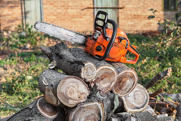 Best Tree Branch Trimming  in Coopersville, MI